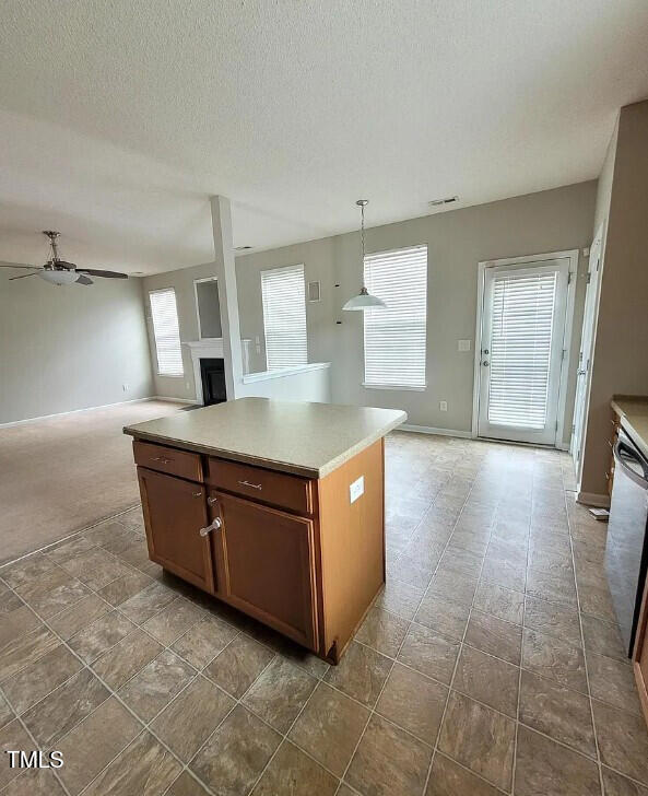 3705 Rivermist Drive Raleigh, NC 27610 - Photo 10 of 32 3705RivermistDr_60762_11