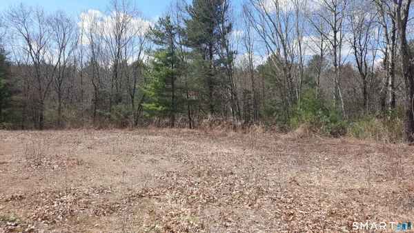 $99,000 | Lot 03-2 New Sweden Road, Woodstock, CT 06281