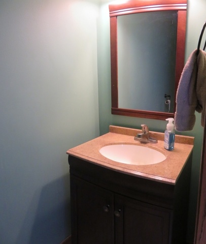 1202 Nelson Road Rock Falls, IL 61071 - Photo 17 of 31 a bathroom with a sink and a mirror