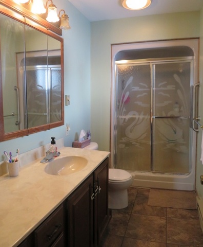 1202 Nelson Road Rock Falls, IL 61071 - Photo 20 of 31 a bathroom with a sink a toilet and shower