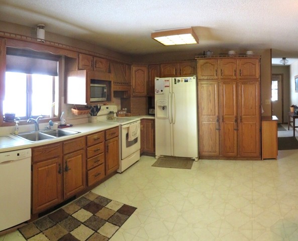 1202 Nelson Road Rock Falls, IL 61071 - Photo 10 of 31 a kitchen with a sink cabinets and refrigerator