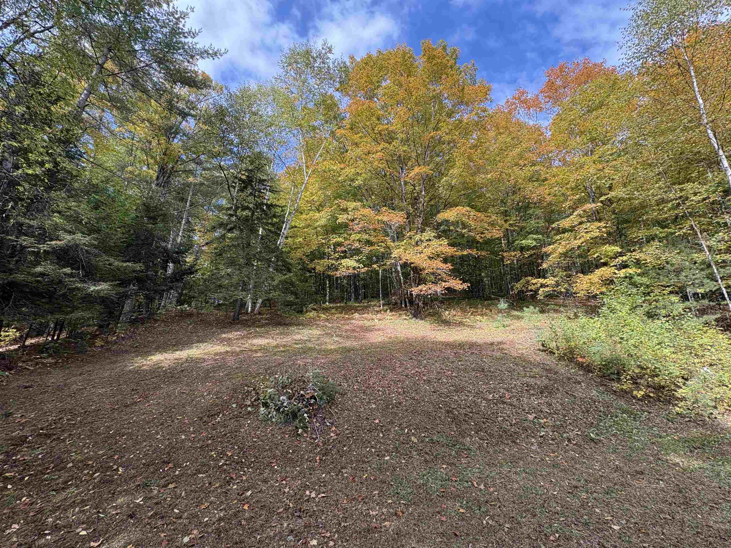 173 Dereks Way Lyndon, VT 05851 - Photo 11 of 22