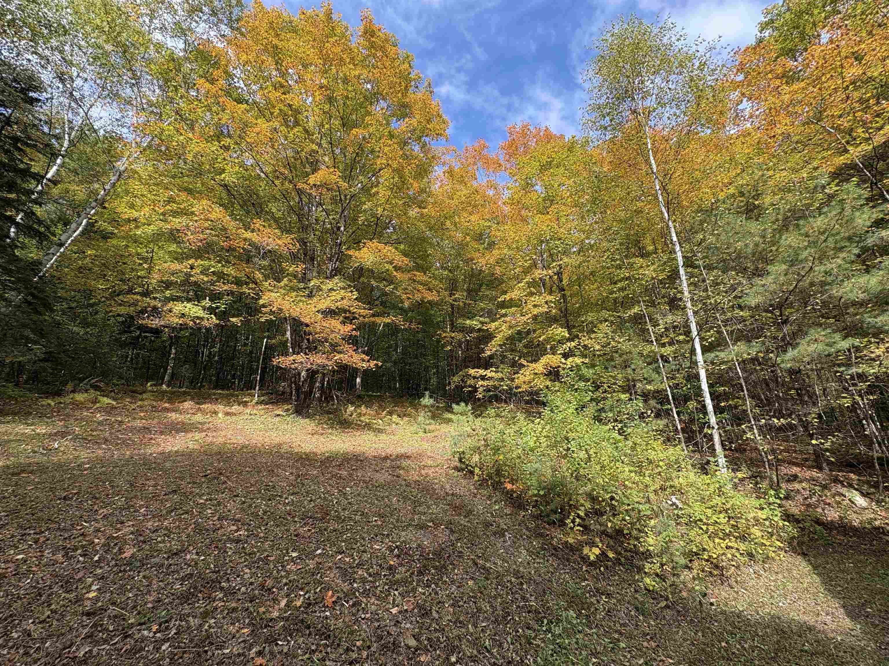 173 Dereks Way Lyndon, VT 05851 - Photo 12 of 22