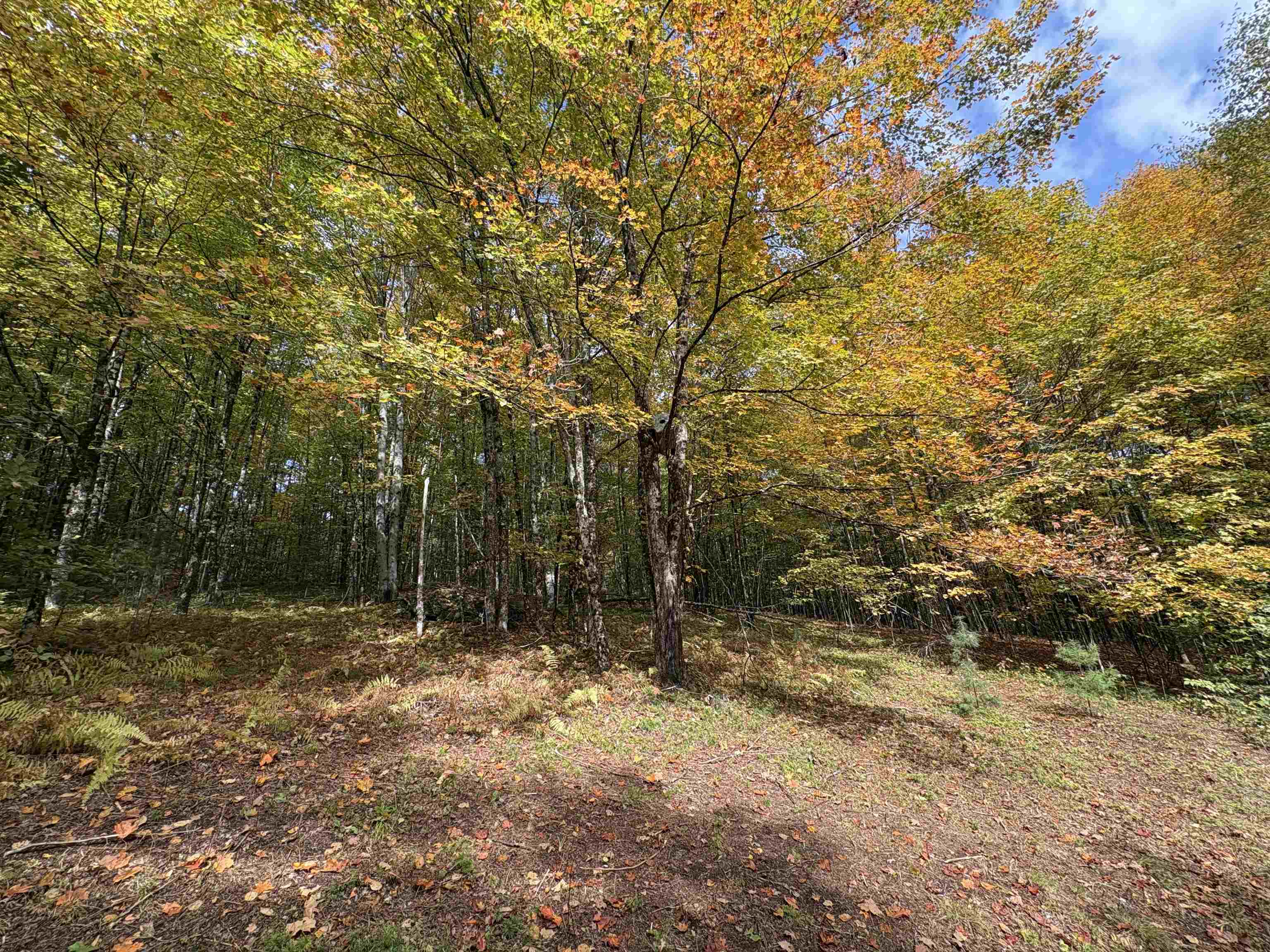 173 Dereks Way Lyndon, VT 05851 - Photo 13 of 22