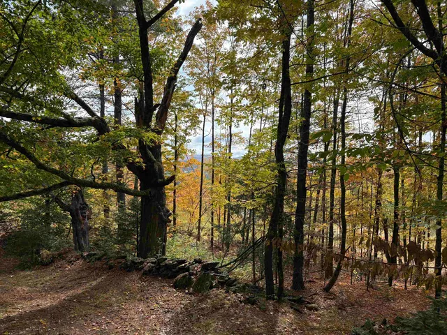 $125,000 | 173 Dereks Way, Lyndon, VT 05851