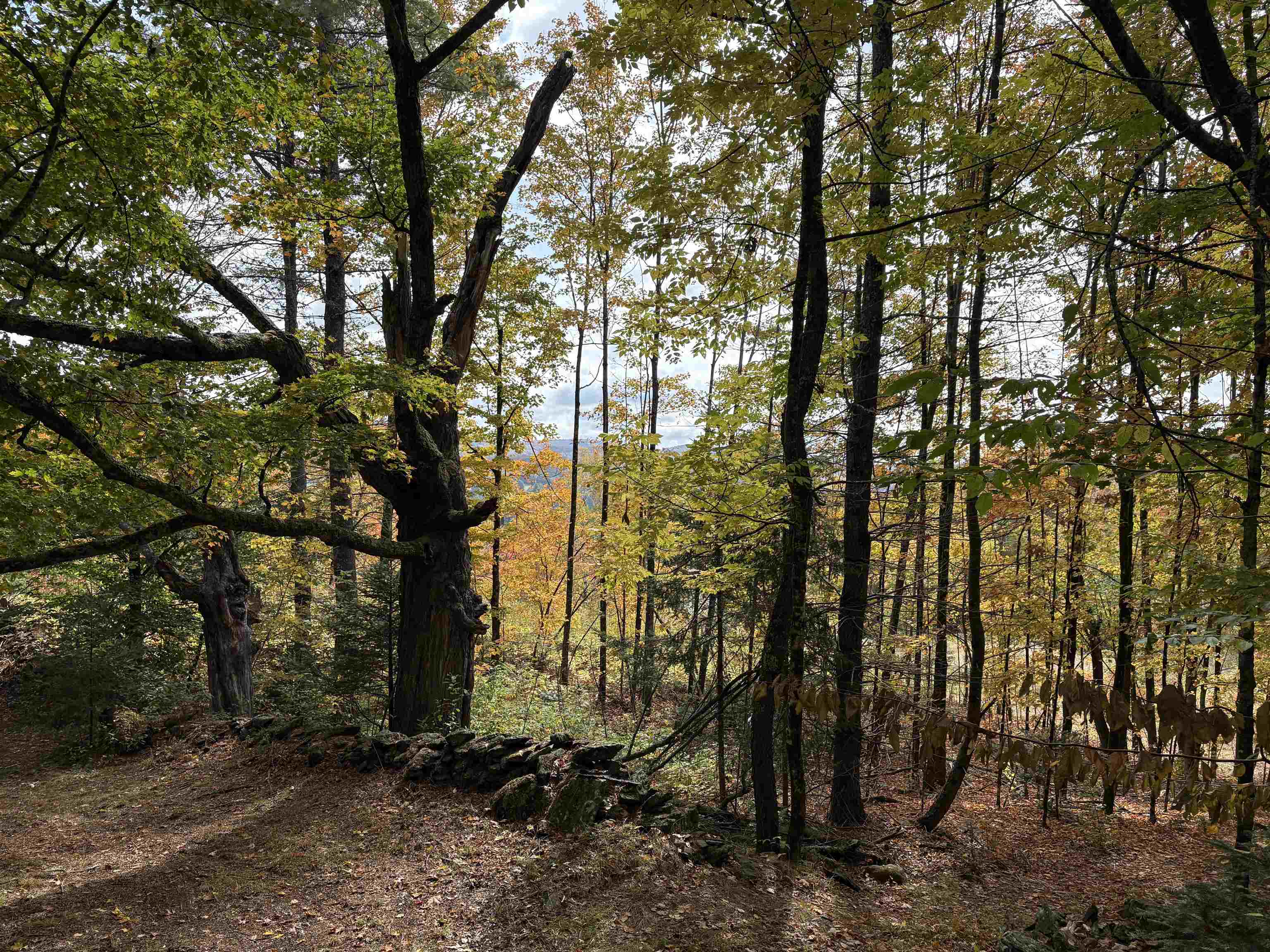 173 Dereks Way Lyndon, VT 05851 - Photo 15 of 22