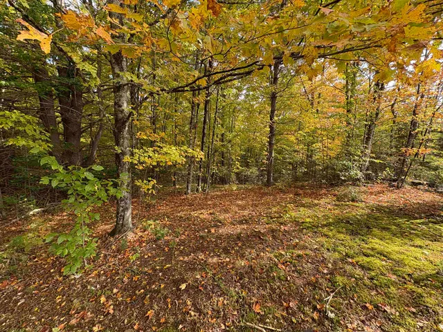 $125,000 | 173 Dereks Way, Lyndon, VT 05851