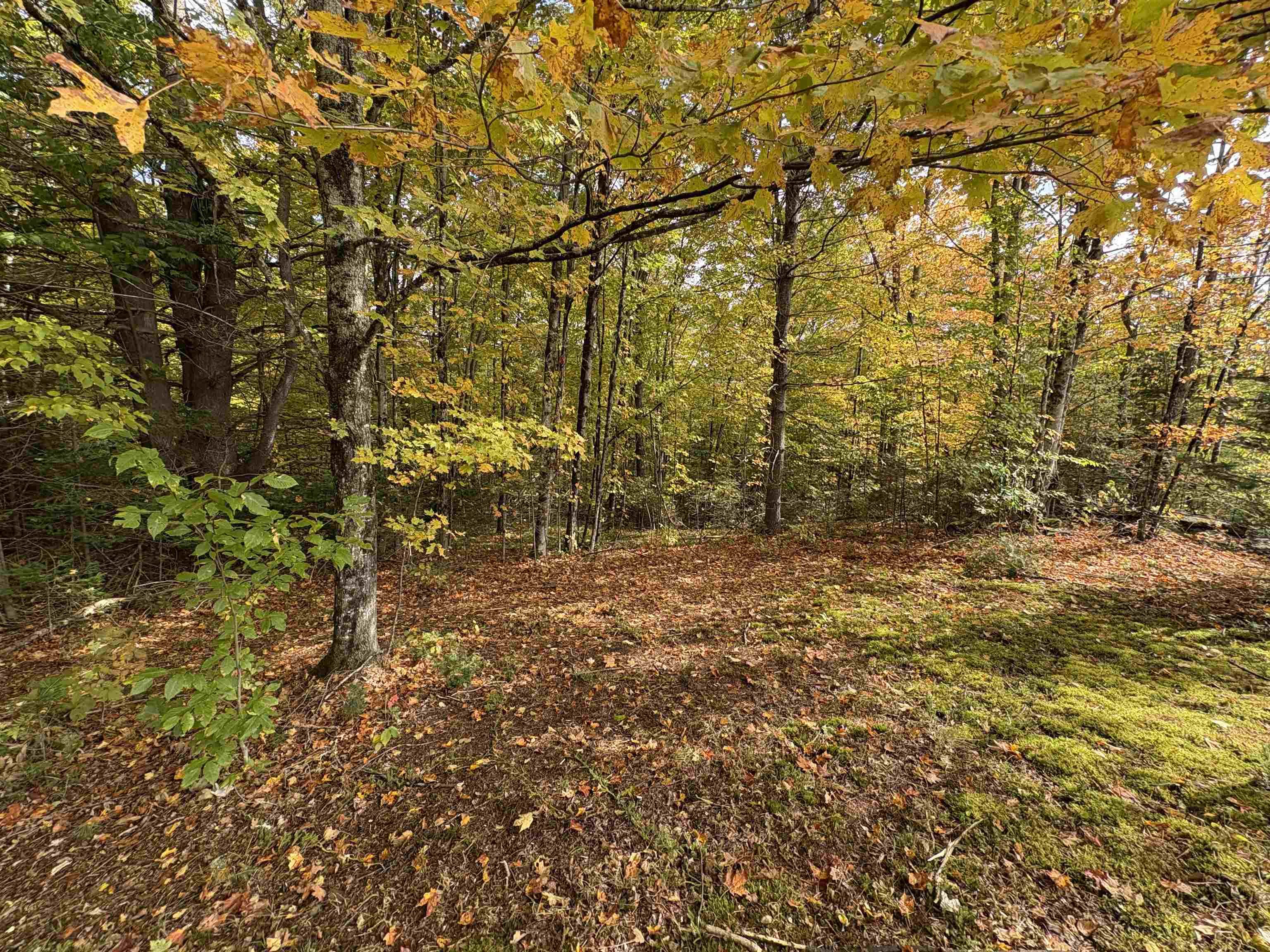 173 Dereks Way Lyndon, VT 05851 - Photo 18 of 22