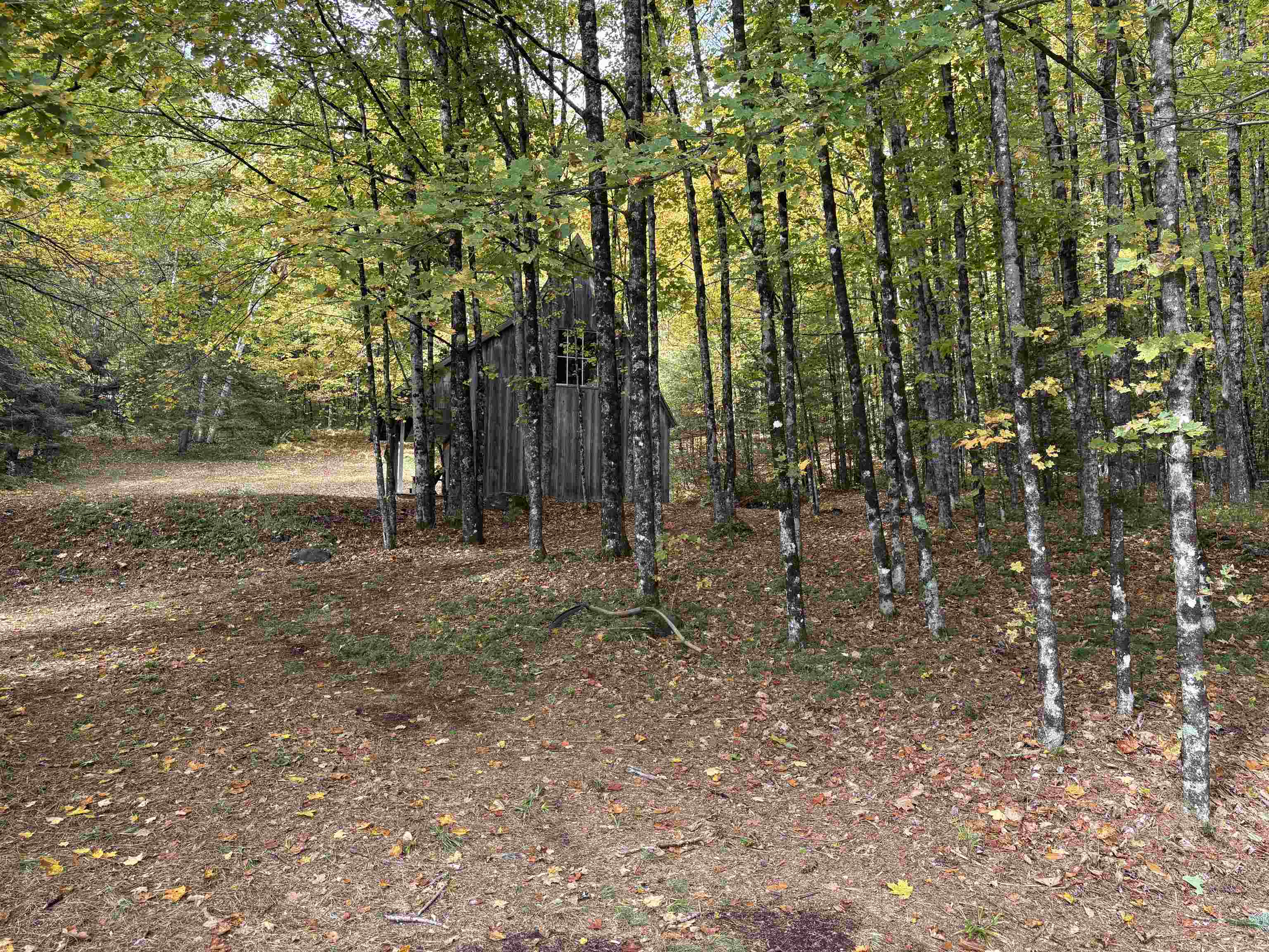 173 Dereks Way Lyndon, VT 05851 - Photo 7 of 22