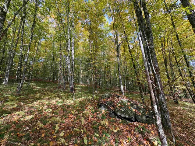 $125,000 | 173 Dereks Way, Lyndon, VT 05851