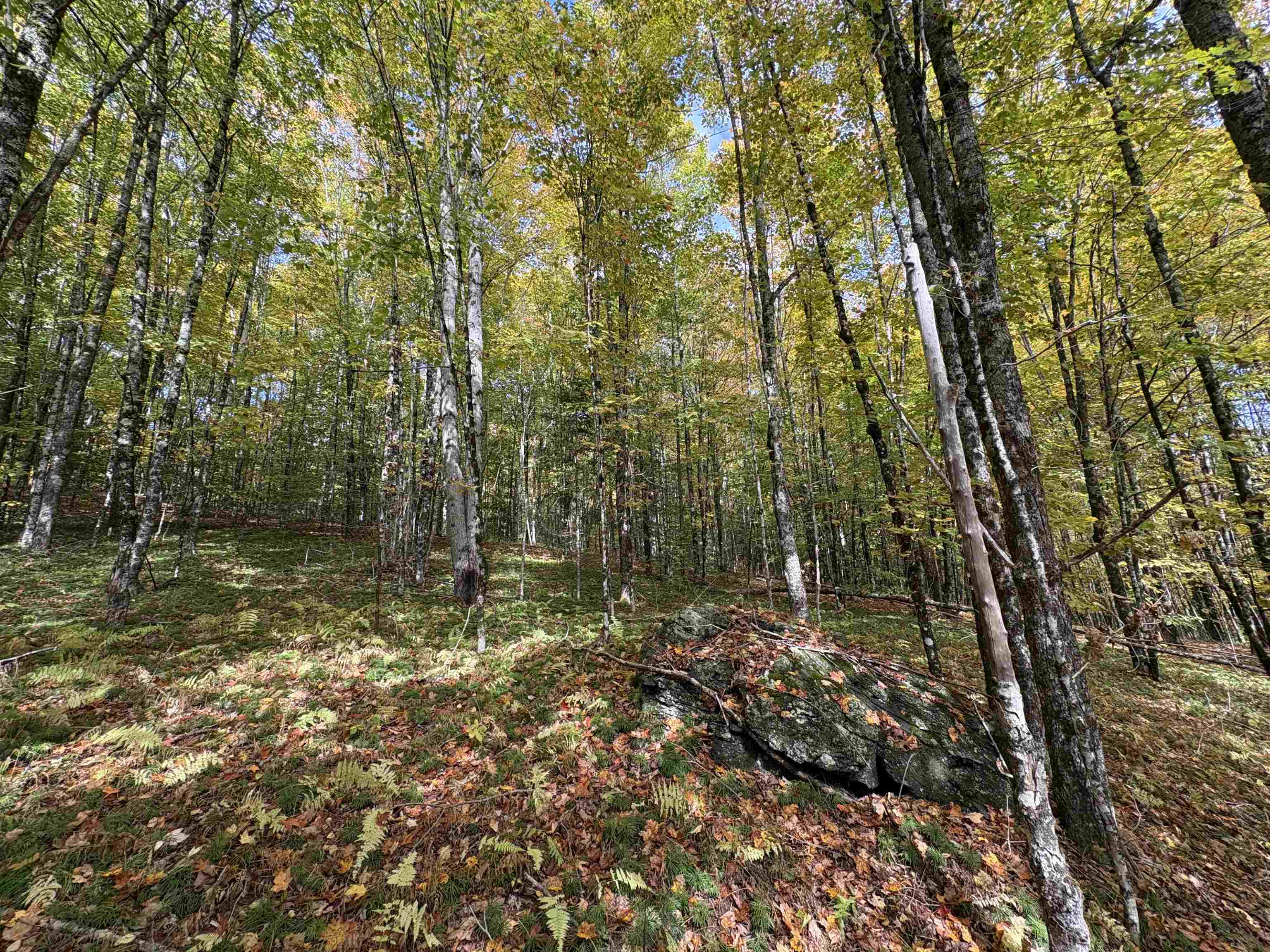 173 Dereks Way Lyndon, VT 05851 - Photo 8 of 22