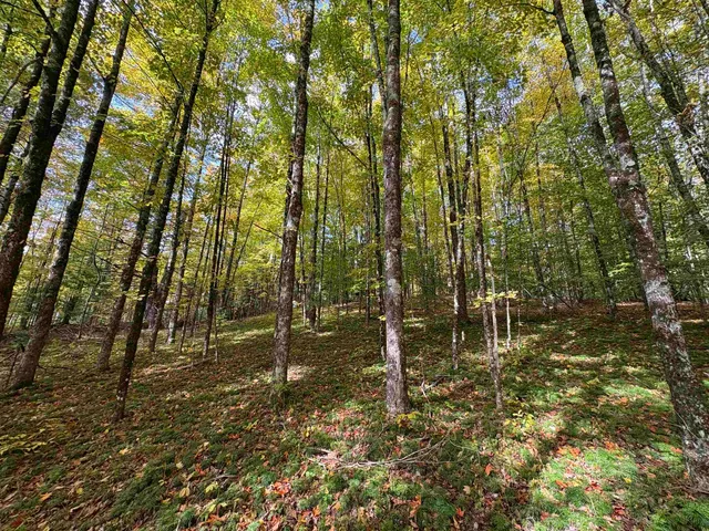 $125,000 | 173 Dereks Way, Lyndon, VT 05851