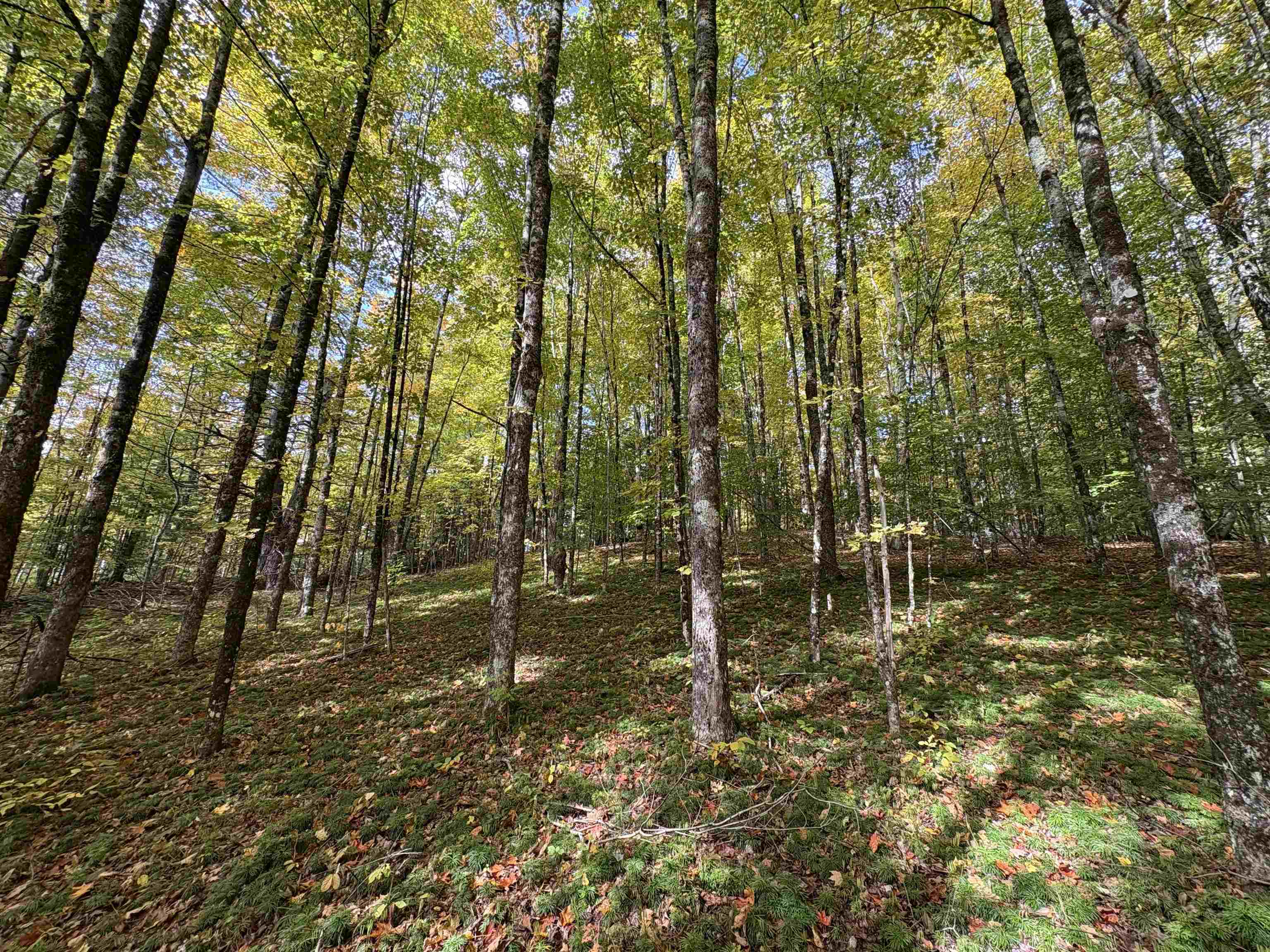 173 Dereks Way Lyndon, VT 05851 - Photo 10 of 22