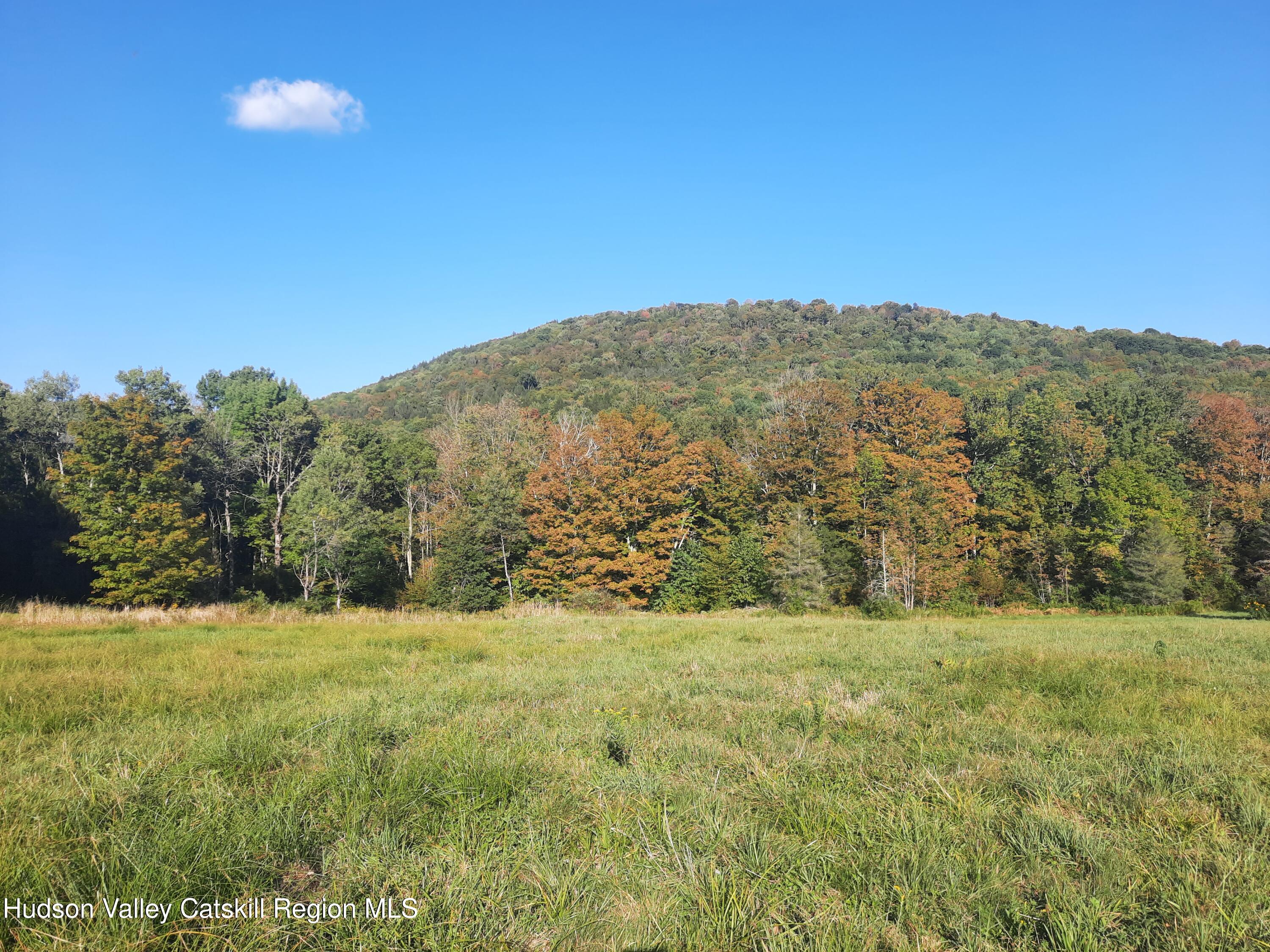 Tbd Upper Dingle Hill Road Andes, NY 13731 - Photo 31 of 44 20250911_165222