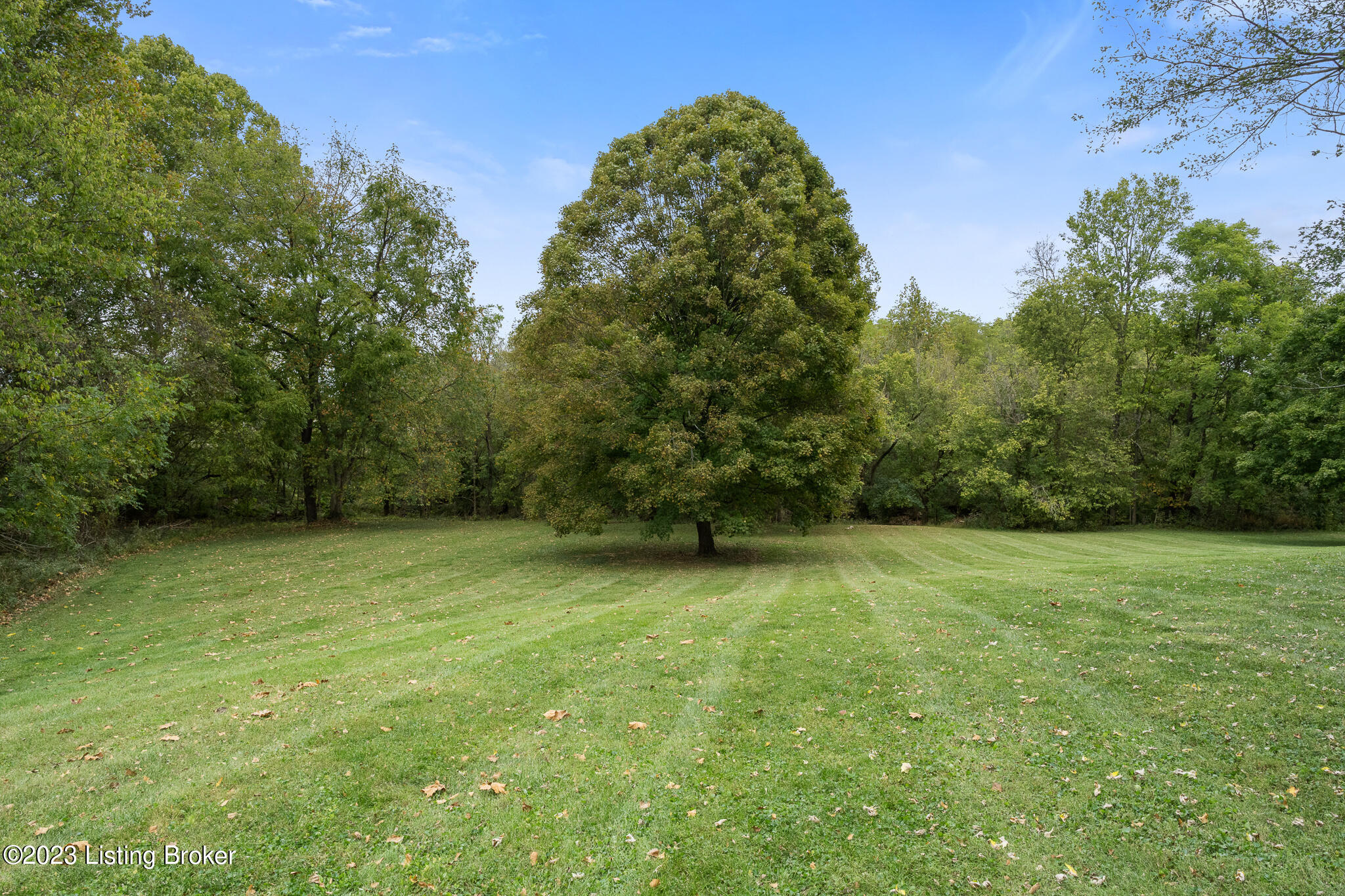 178 Hickory Ridge Road Waddy, KY 40076 - Photo 44 of 46 178 Hickory Ridge Rd-12