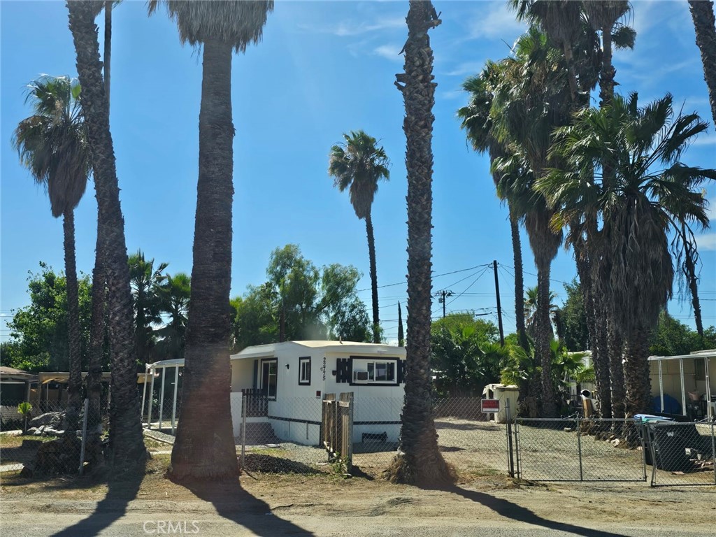 22775 Raymond Road Perris, CA 92570 - Photo 9 of 23 a view of a yard with palm tree