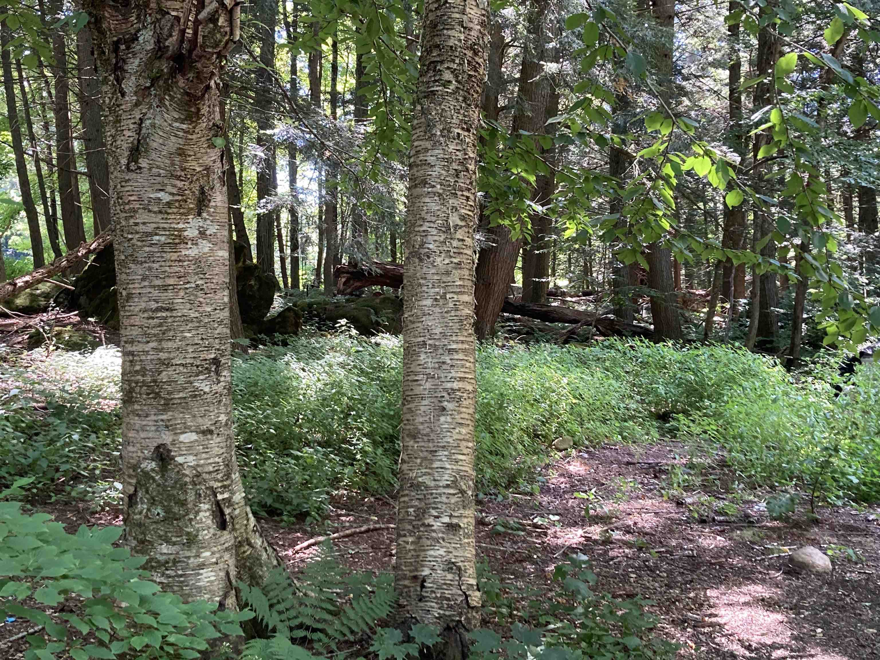 1904 Furnace Road Pittsford, VT 05763 - Photo 2 of 16