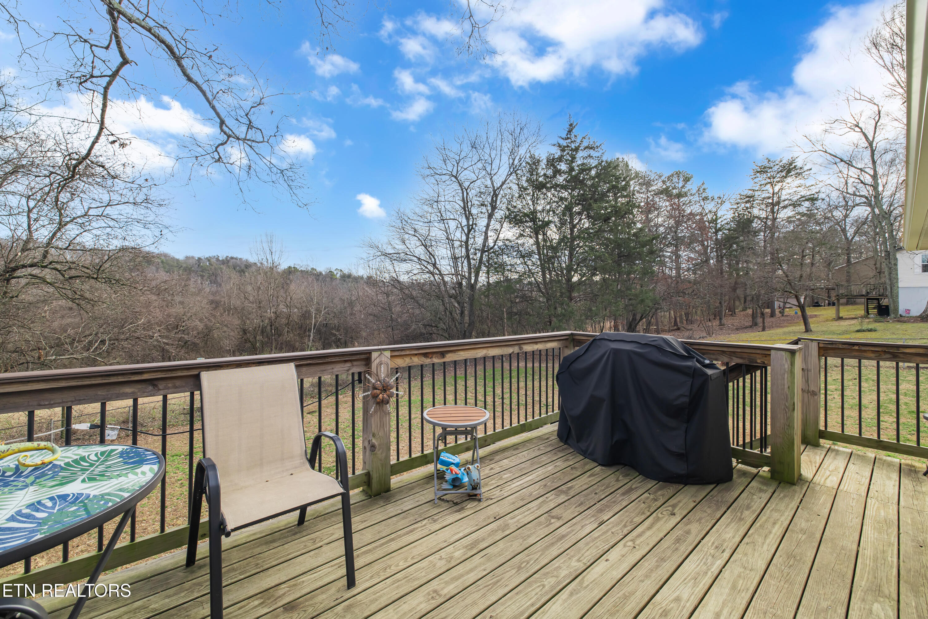 1808 Brookmill Road Knoxville, TN 37932 - Photo 9 of 23 1808 Brookmill Rd-110