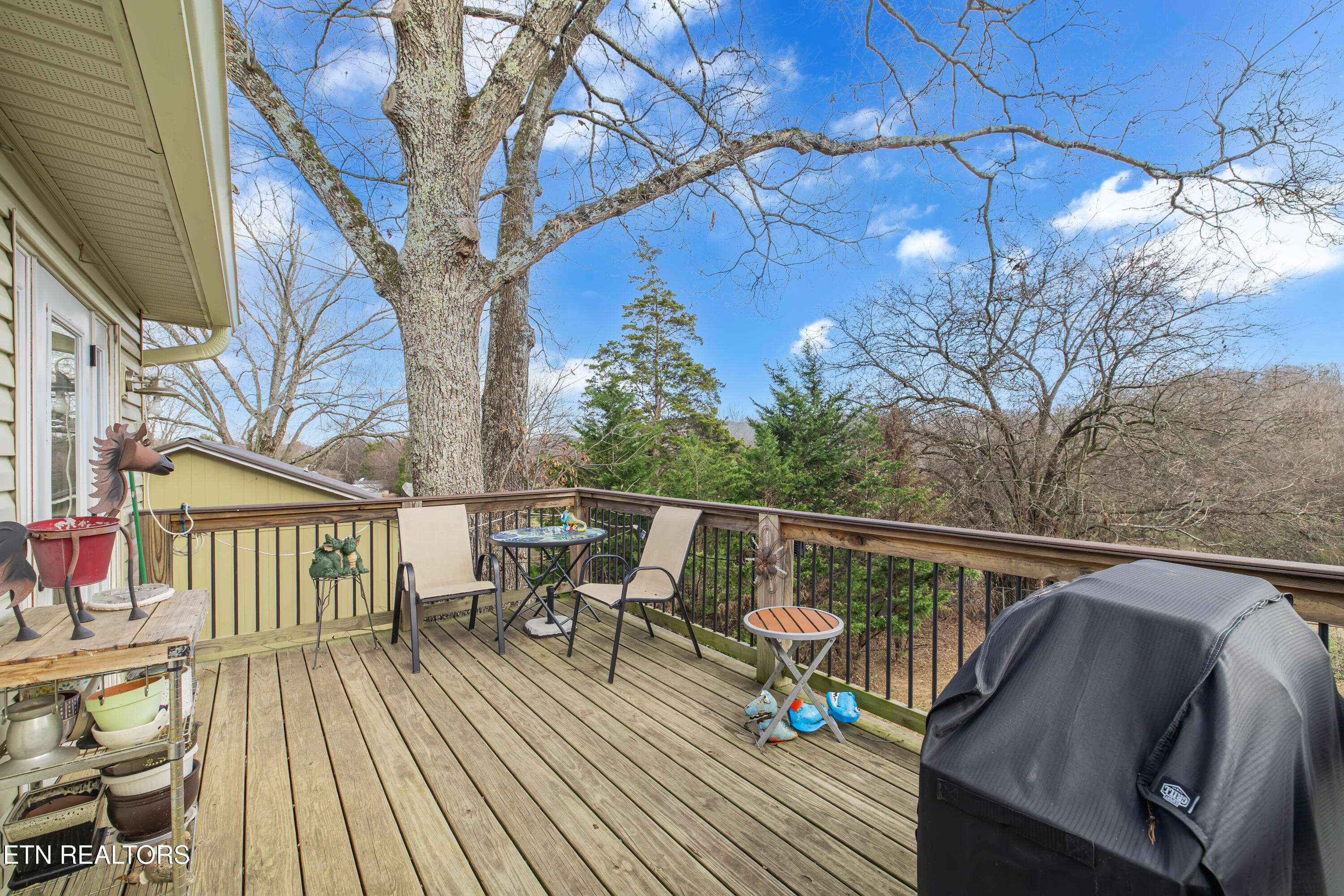 1808 Brookmill Road Knoxville, TN 37932 - Photo 10 of 23 1808 Brookmill Rd-111