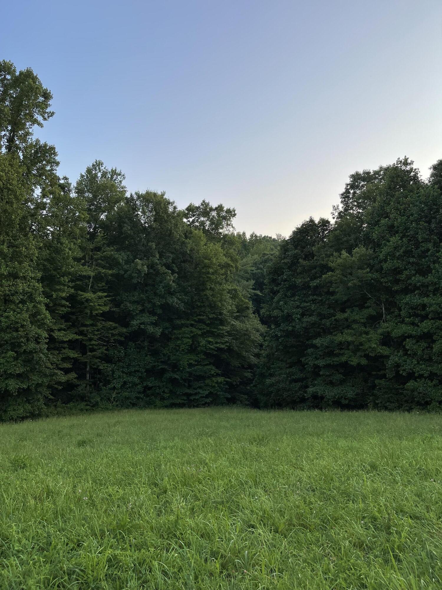 1693 Dan Ridge Road Wellington, KY 40387 - Photo 2 of 21 1
