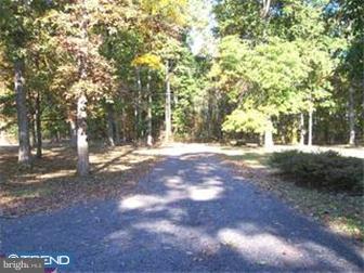679 Scott Road Pipersville, PA 18947 - Photo 3 of 4 Gallery Image 3