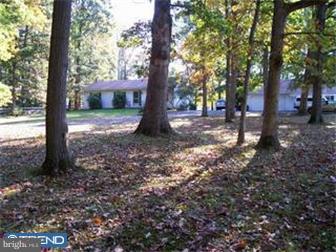 679 Scott Road Pipersville, PA 18947 - Photo 4 of 4 Gallery Image 4