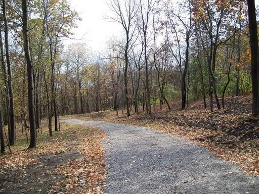 $35,000 | Lot #6 Thirty Foot Trail Road, Oglesby, IL 61348