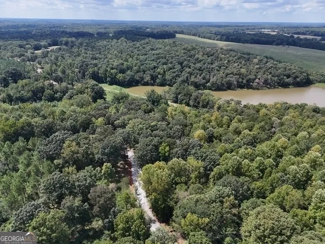 a view of a green field with lots of bushes