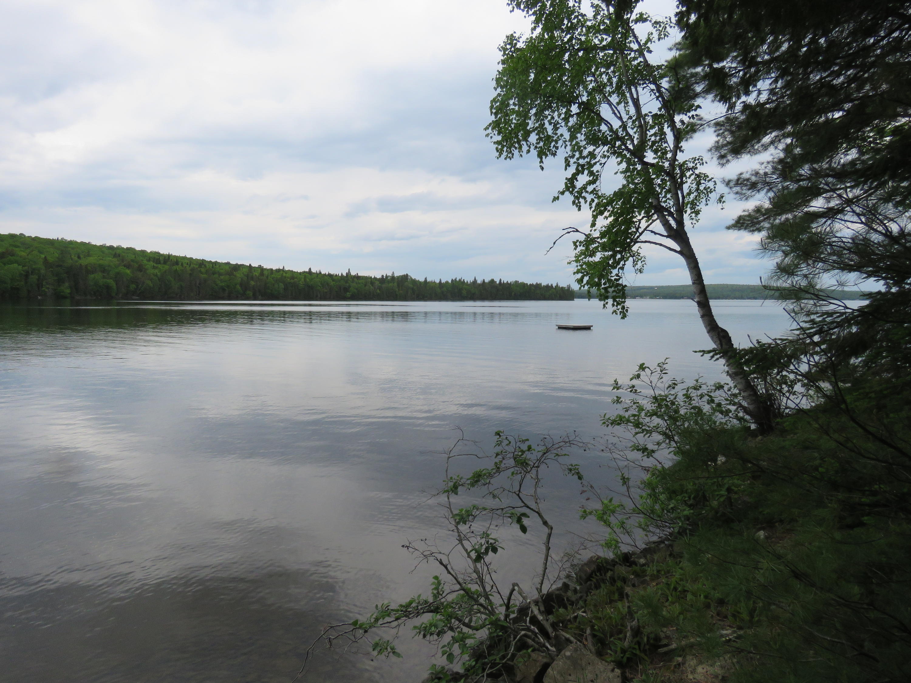 1087 South Shore Road Stockholm, ME 04783 - Photo 10 of 16 IMG_6101