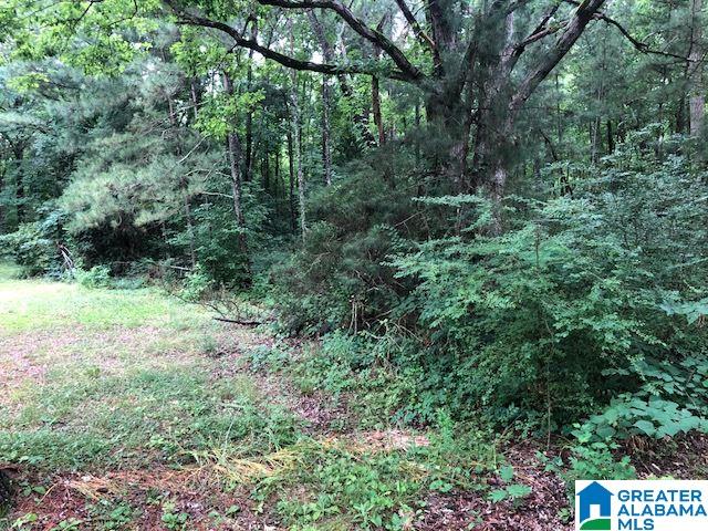 724 Kimberly Road Piedmont, AL 36272 - Photo 27 of 31
