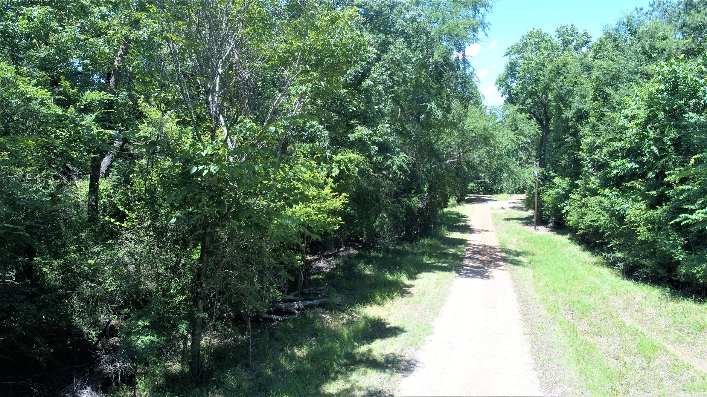 Tbd Forest Road Crockett, TX 75835 - Photo 2 of 8 a view of a yard with plants and a bench