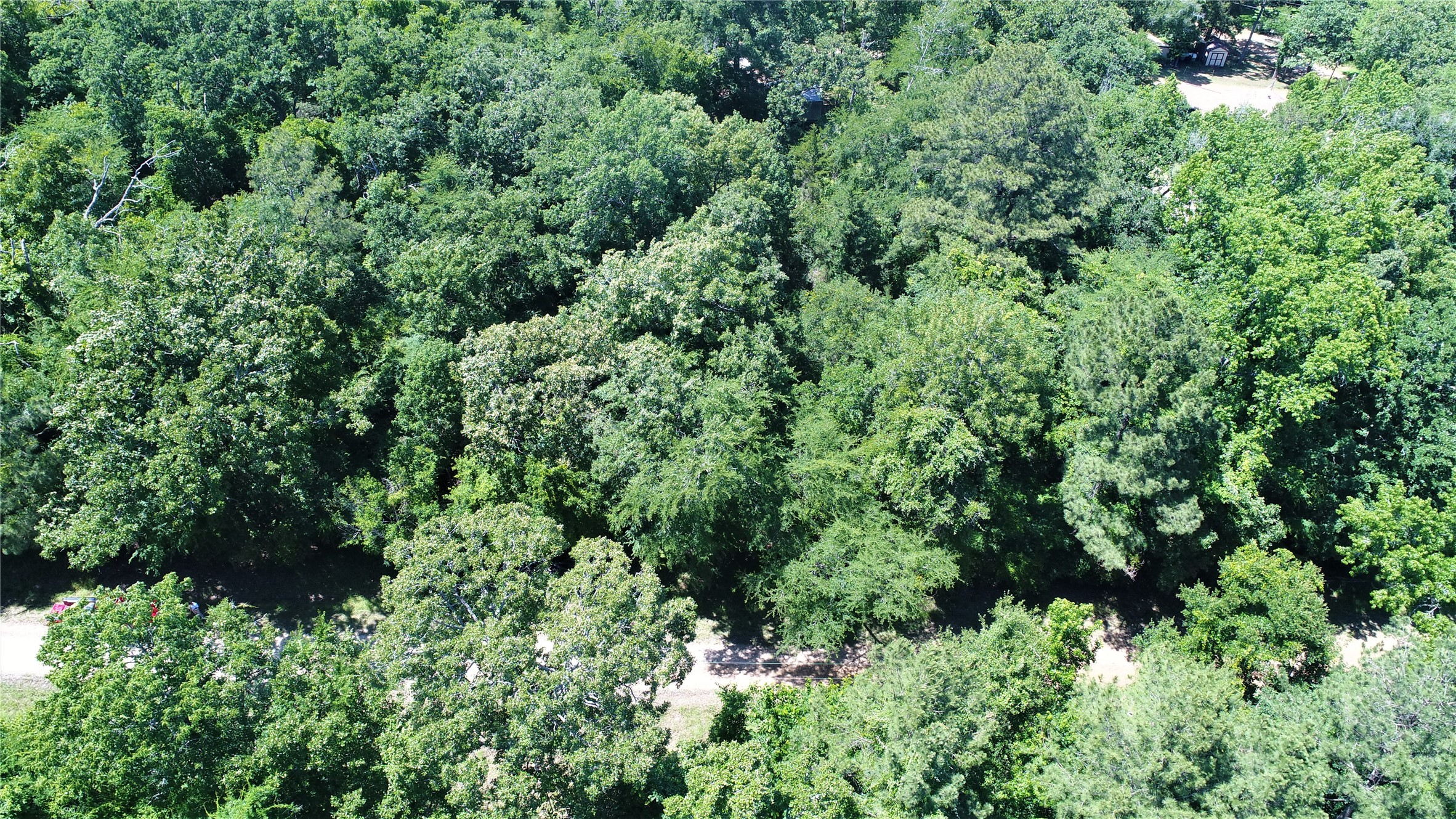 Tbd Forest Road Crockett, TX 75835 - Photo 3 of 8 an aerial view of a forest with houses