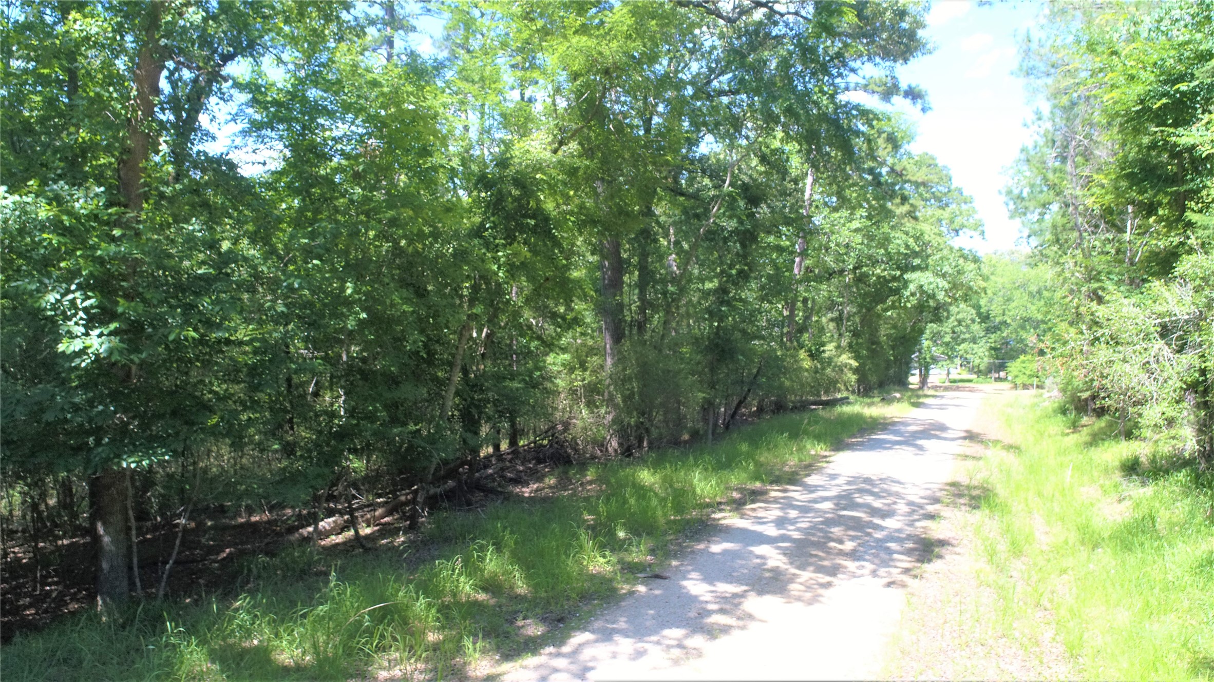 Tbd Forest Road Crockett, TX 75835 - Photo 5 of 8 a view of a street view with large trees