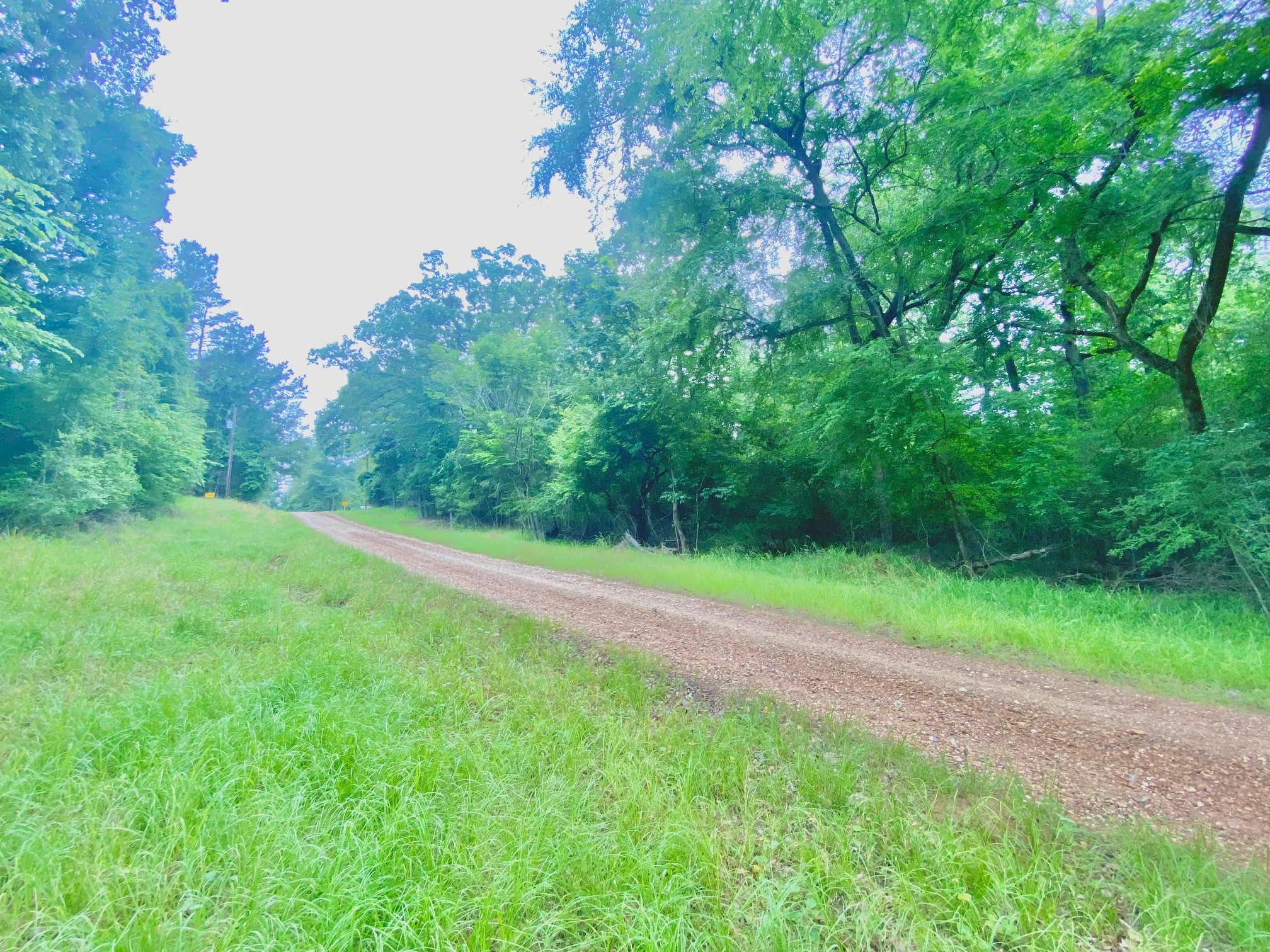 Tbd Forest Road Crockett, TX 75835 - Photo 6 of 8 a view of a field of grass and trees