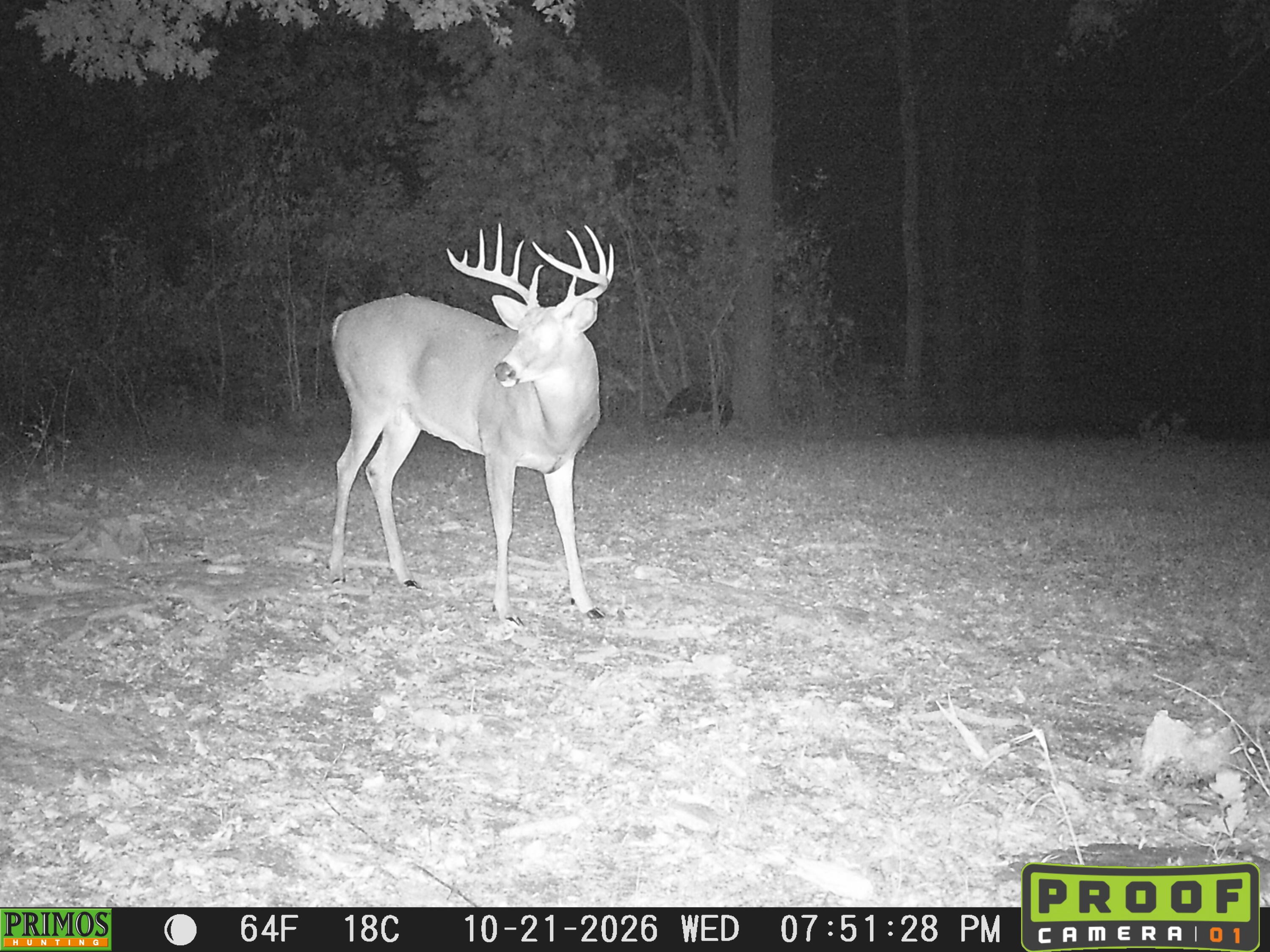 248 Sulphur Lick Road Frankfort, KY 40601 - Photo 50 of 50