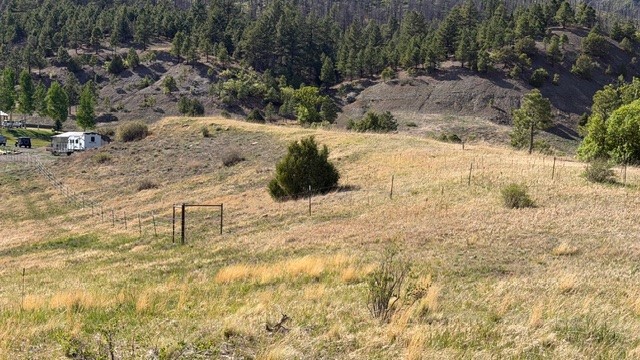 24.61-acres Los Alamitos Road Chacon, NM 87713 - Photo 12 of 12