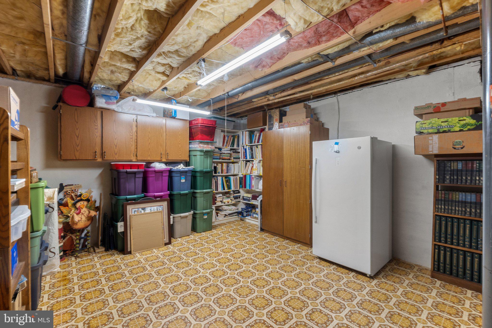 121 Forest Ridge Road Winchester, VA 22602 - Photo 66 of 73 Basement storage