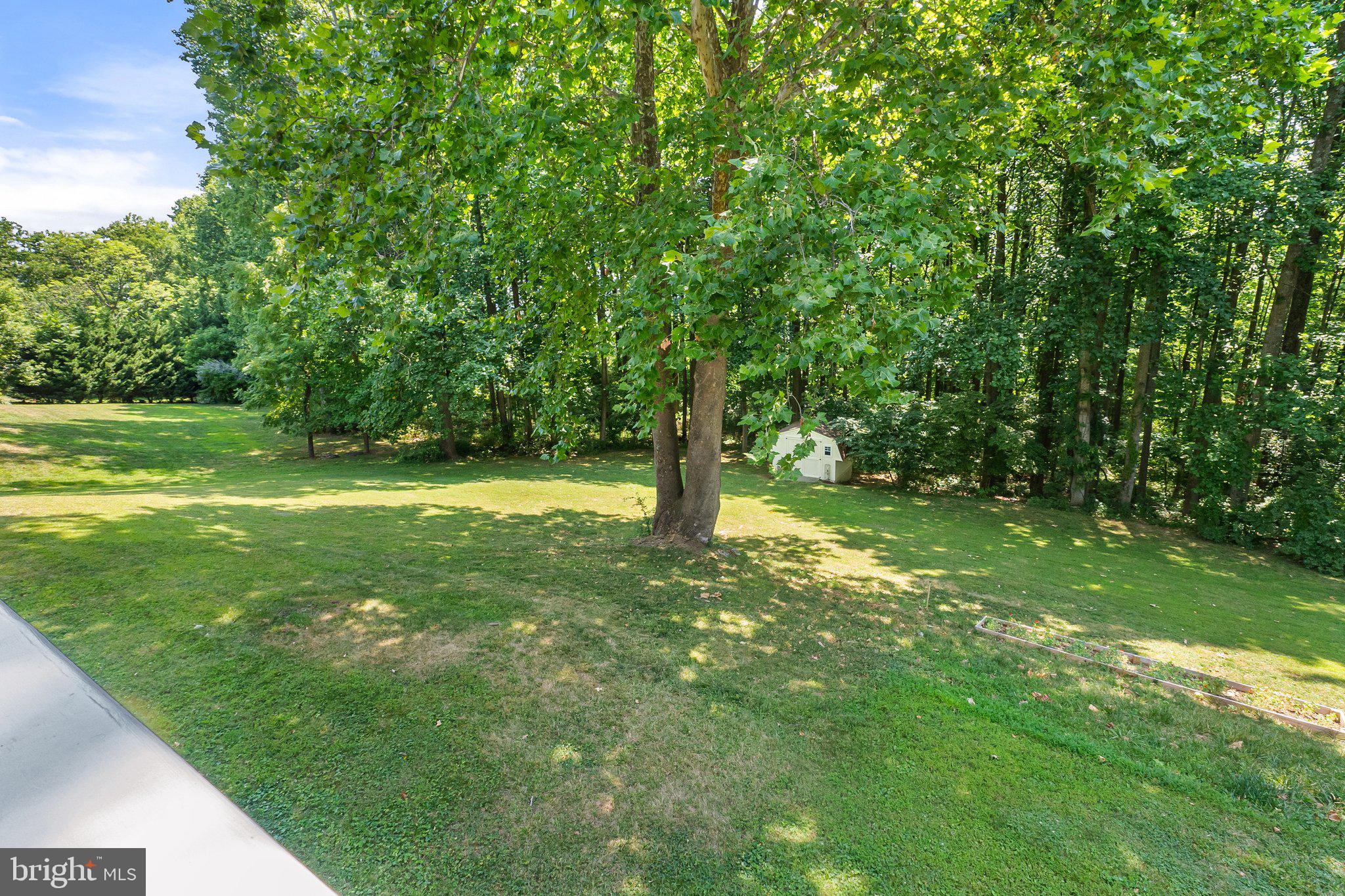 121 Forest Ridge Road Winchester, VA 22602 - Photo 72 of 73 backyard