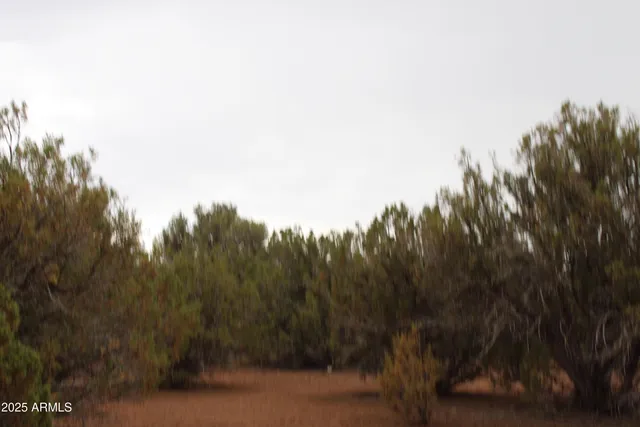 $21,000 | 8 T11n R22e: Port, Unit ', Show Low, AZ 85901