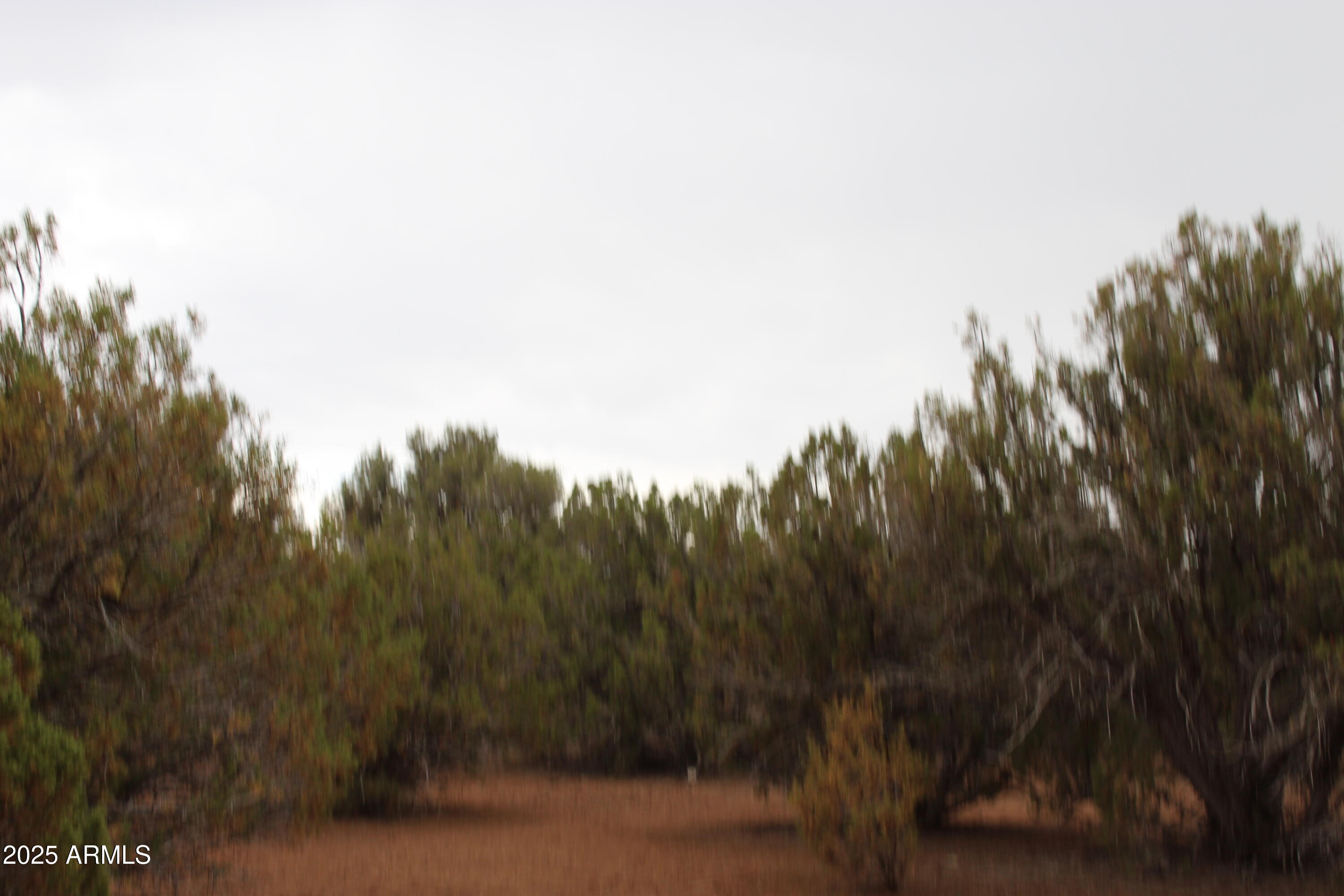 8 T11n R22e: Port, Unit ' Show Low, AZ 85901 - Photo 1 of 6 1