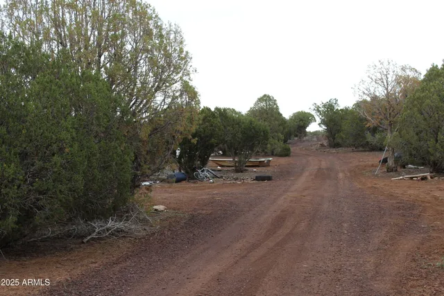 $21,000 | 8 T11n R22e: Port, Unit ', Show Low, AZ 85901