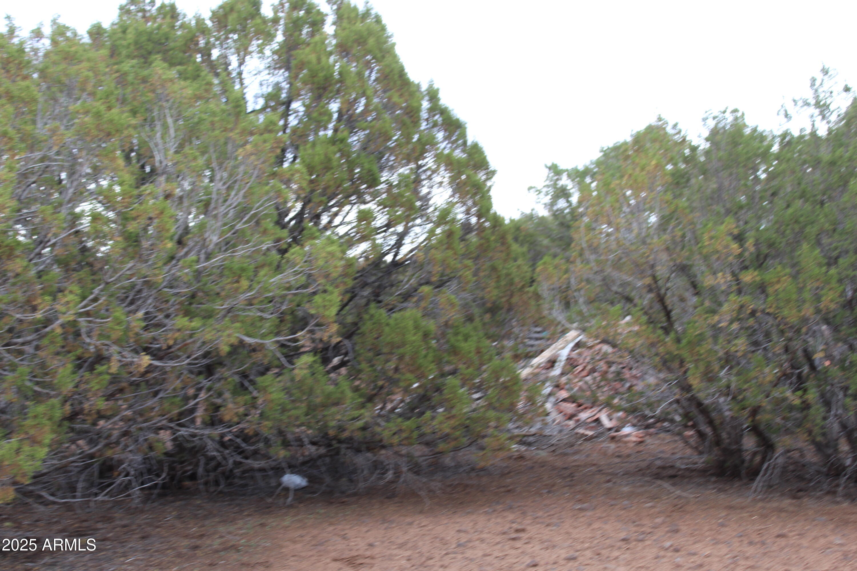 8 T11n R22e: Port, Unit ' Show Low, AZ 85901 - Photo 4 of 6 4