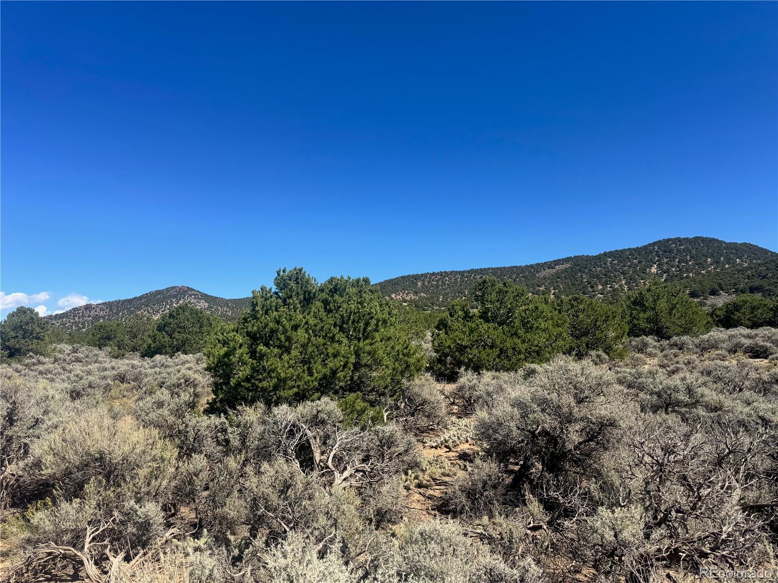 Lot 1275 Juarez Road Fort Garland, CO 81133 - Photo 2 of 14 a view of a forest with mountains in the background