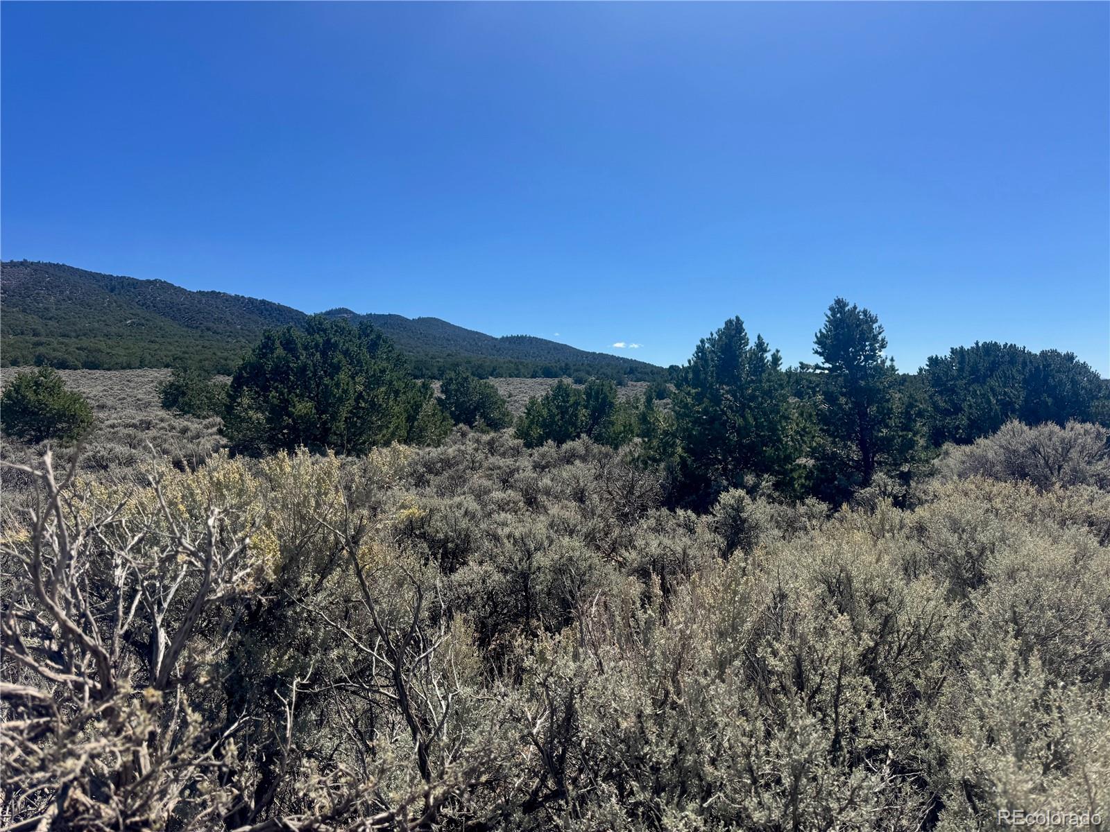 Lot 1275 Juarez Road Fort Garland, CO 81133 - Photo 3 of 14 a view of a dry yard with mountains in the background