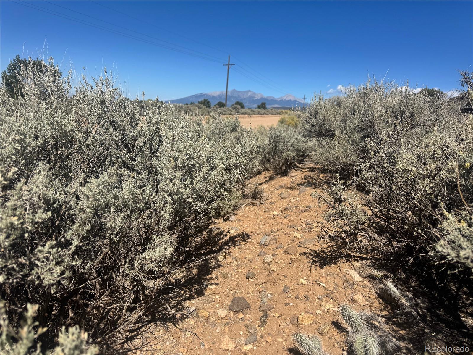 Lot 1275 Juarez Road Fort Garland, CO 81133 - Photo 4 of 14 a view of a backyard of the house