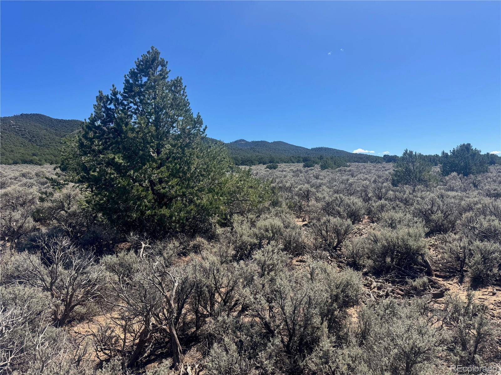 Lot 1275 Juarez Road Fort Garland, CO 81133 - Photo 5 of 14 a view of a mountain range with trees in the background