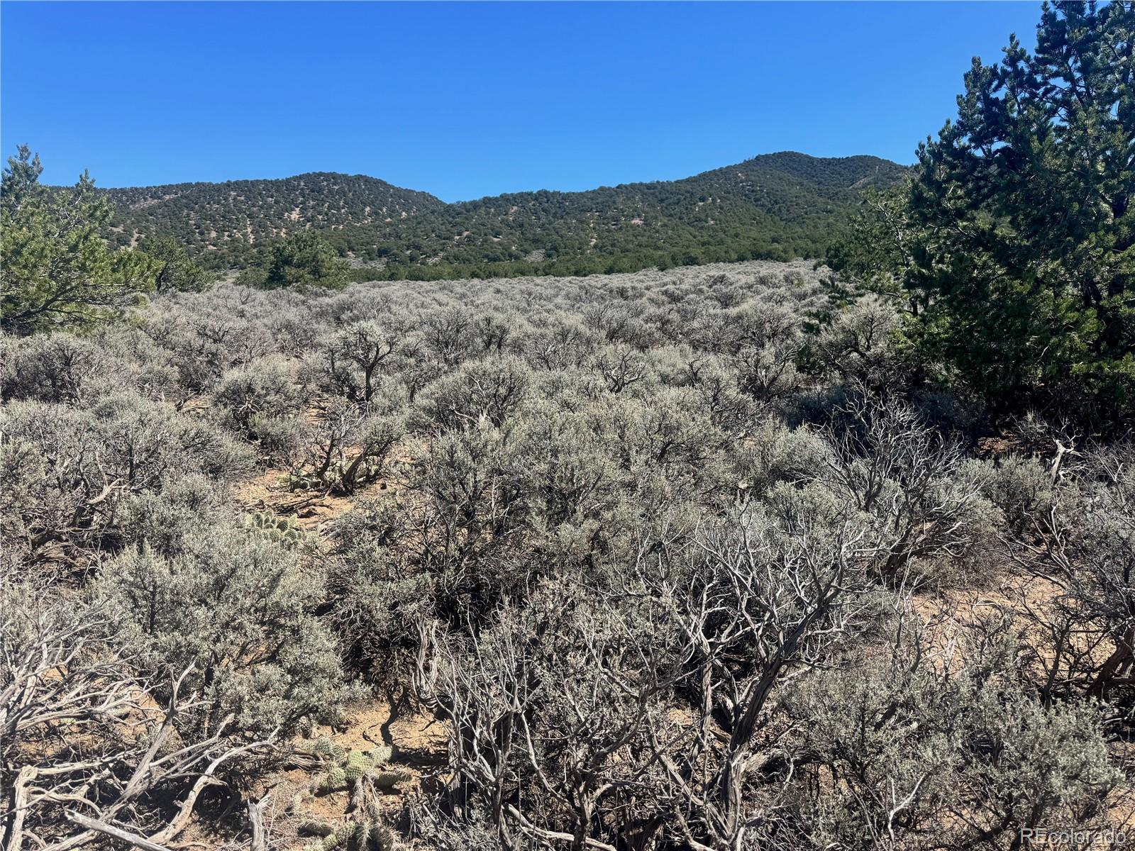 Lot 1275 Juarez Road Fort Garland, CO 81133 - Photo 10 of 14 a view of mountain with trees in the background
