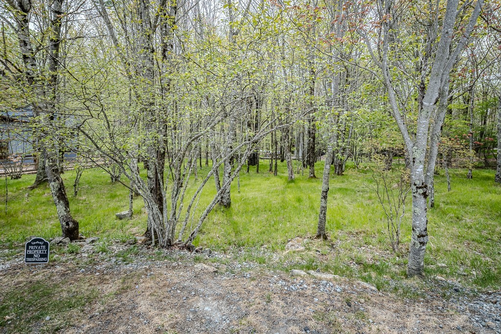 103-105 Upper Grouse Ridge Road Beech Mountain, NC 28604 - Photo 41 of 48 a backyard of a house with lots of green space
