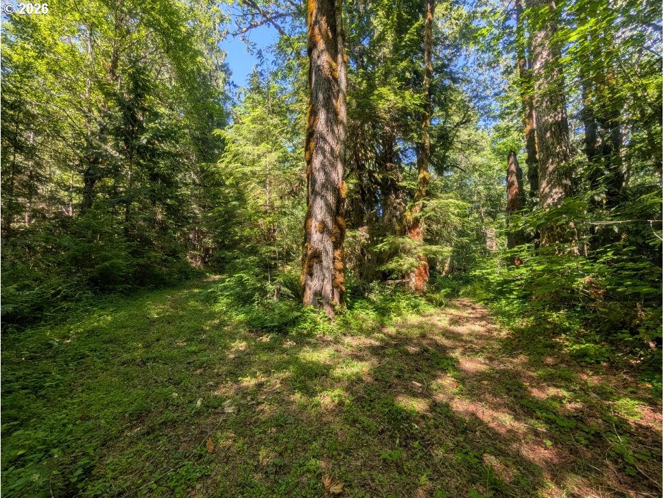 20284 East Carnarvon Road Rhododendron, OR 97049 - Photo 15 of 17