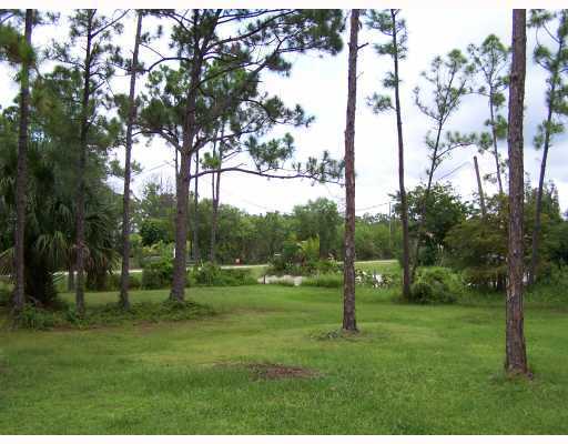 13151 160th Road North Jupiter, FL 33478 - Photo 7 of 7 Additional Photo